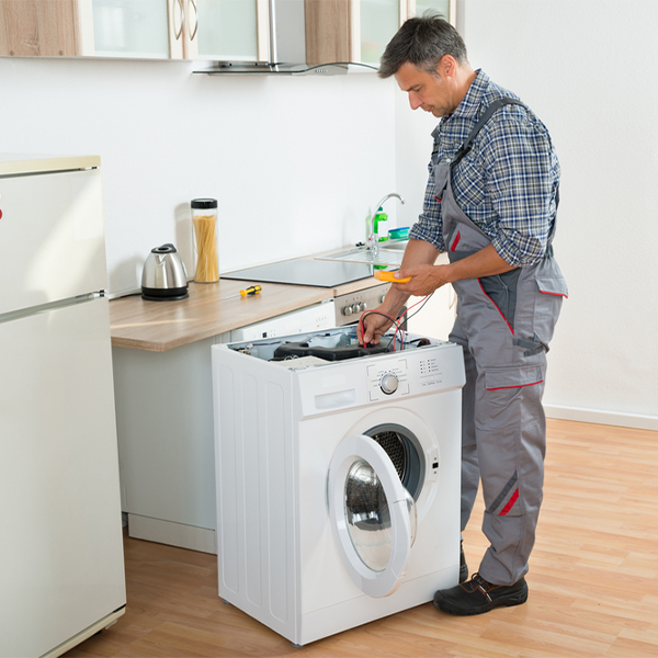 how much should i expect to pay for washer repair services in Theodosia